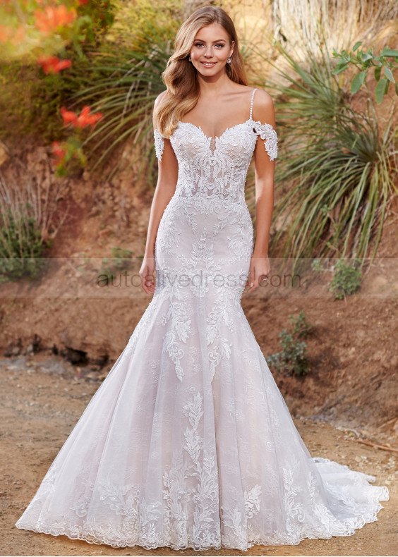 Beaded Cold Shoulder Straps Ivory Lace Tulle Princess Wedding Dress